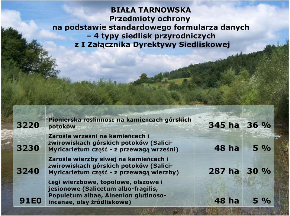 Myricarietum część - z przewagą wrześni) 48 ha 5 % Zarośla wierzby siwej na kamieńcach i Ŝwirowiskach górskich potoków (Salici- Myricarietum część - z