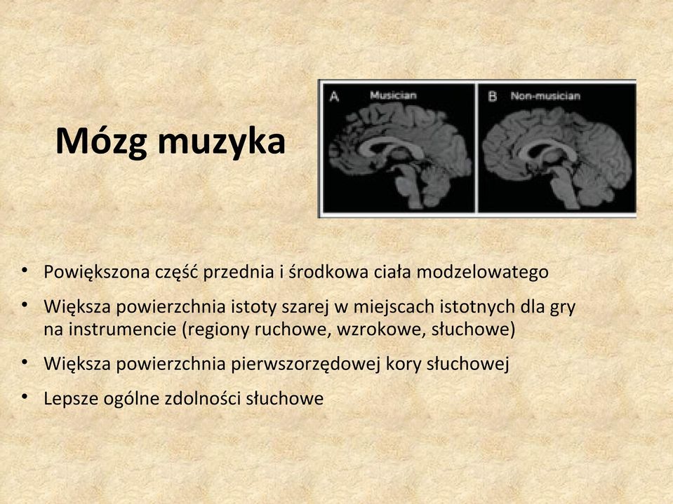 istotnych dla gry na instrumencie (regiony ruchowe, wzrokowe,