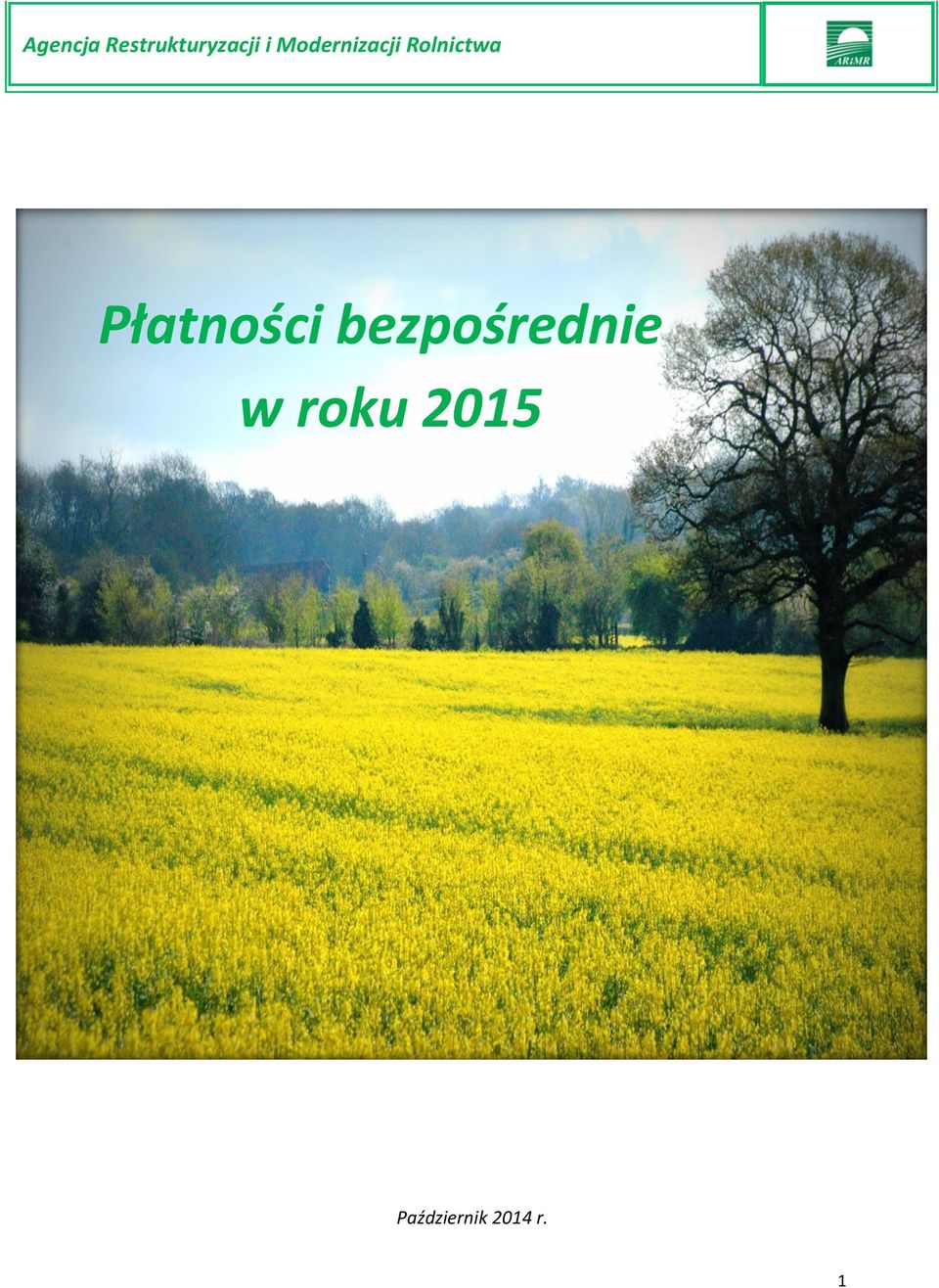 w roku 2015