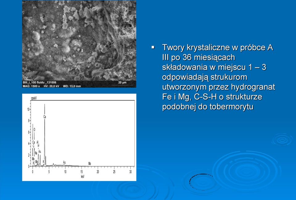 utworzonym przez hydrogranat Fe i Mg, C-S-H o strukturze podobnej