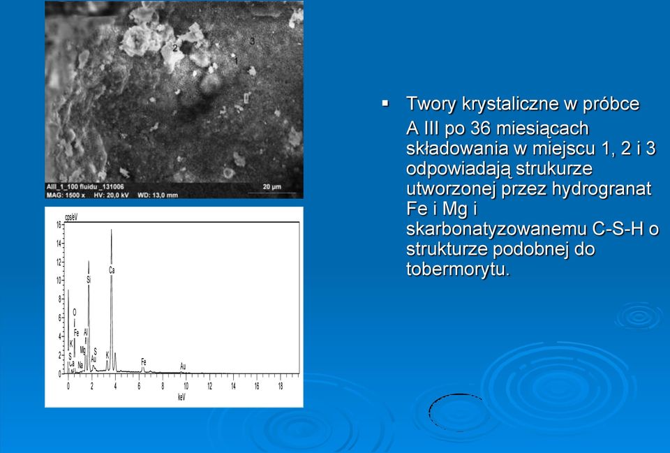 hydrogranat Fe i Mg i skarbonatyzowanemu C-S-H o strukturze podobnej do