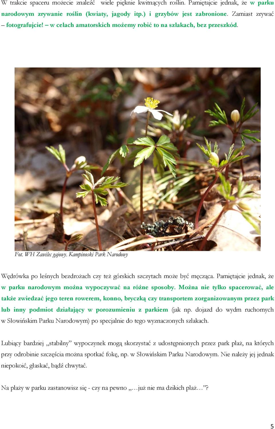 Kampinoski Park Narodowy Wędrówka po leśnych bezdrożach czy też górskich szczytach może być męcząca. Pamiętajcie jednak, że w parku narodowym można wypoczywać na różne sposoby.