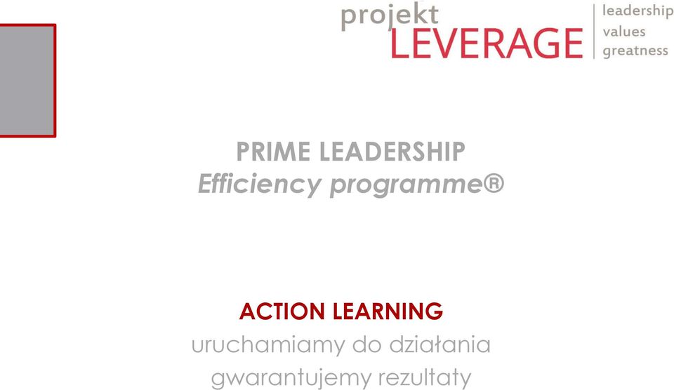 ACTION LEARNING