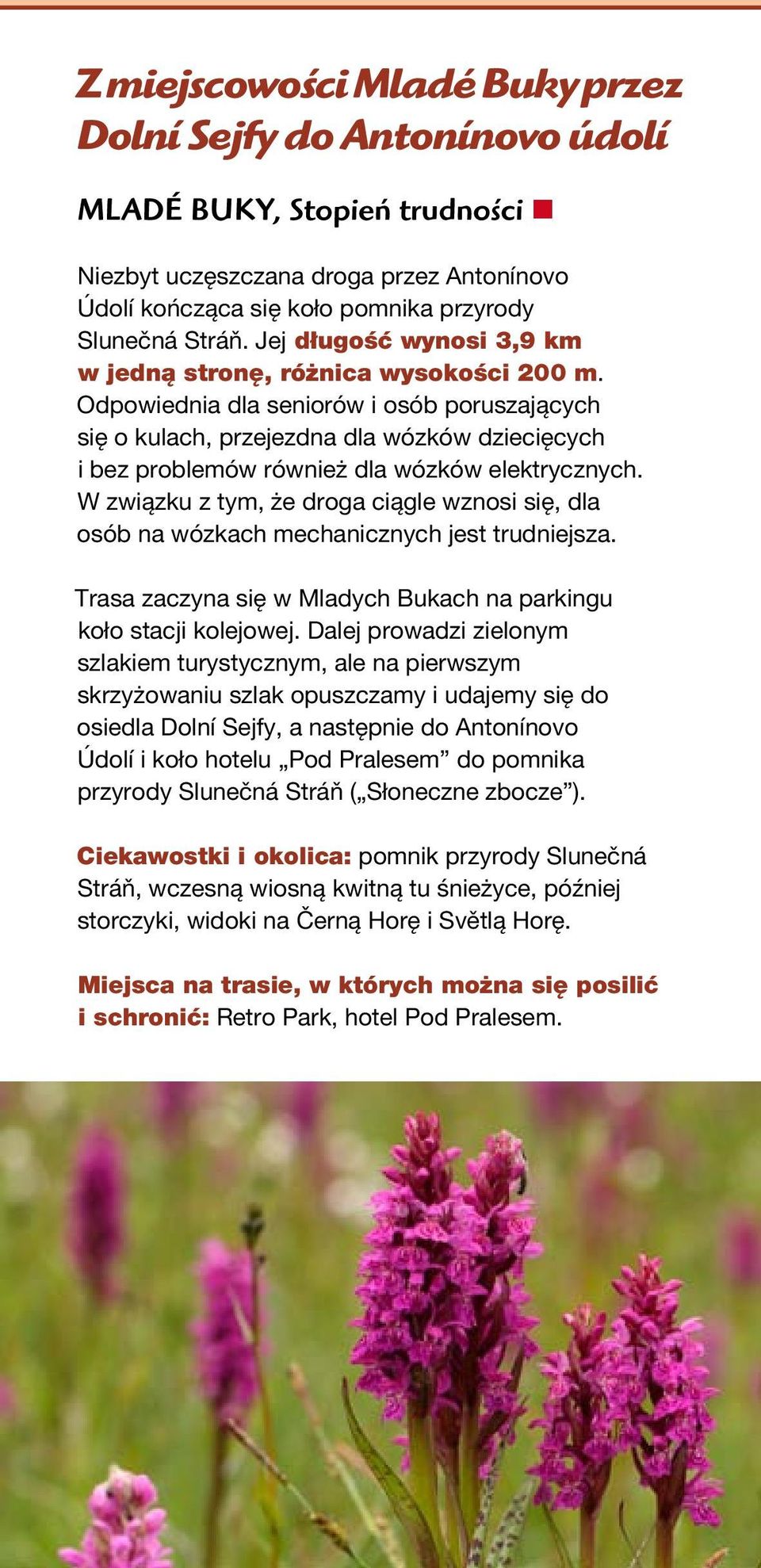 Odpowiednia dla seniorów i osób poruszających się o kulach, przejezdna dla wózków dziecięcych i bez problemów również dla wózków elektrycznych.