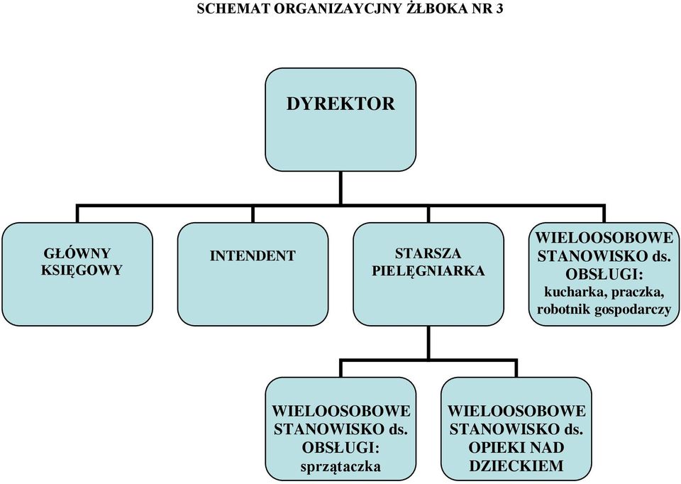 OBSŁUGI: kucharka, praczka, robotnik gospodarczy WIELOOSOBOWE