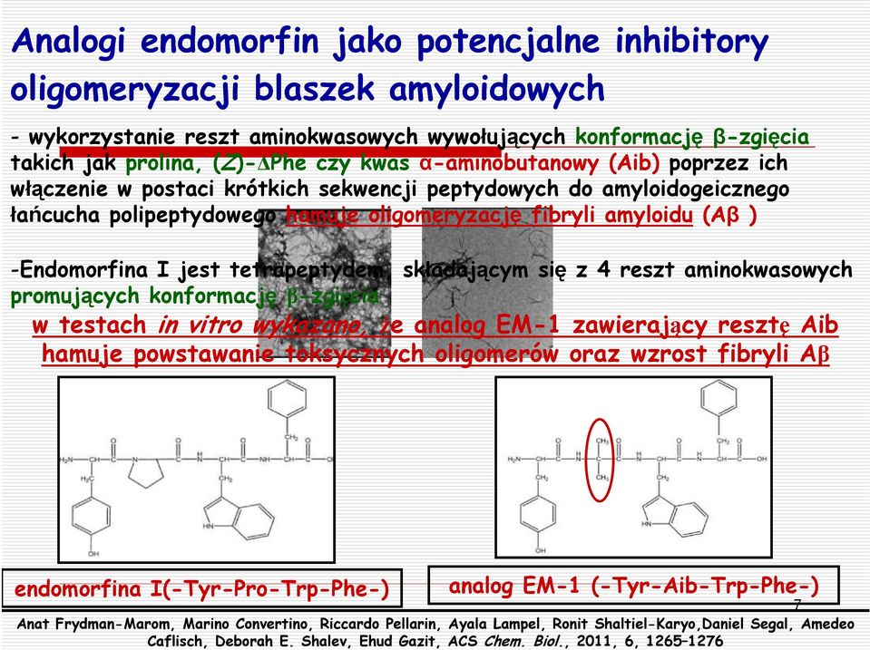 tetrapeptydem, składającym się z 4 reszt aminokwasowych promujących konformację β-zgięcia w testach in vitro wykazano, że analog M-1 zawierający resztę ib hamuje powstawanie toksycznych oligomerów