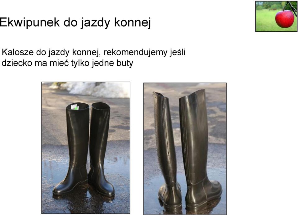 rekomendujemy jeśli