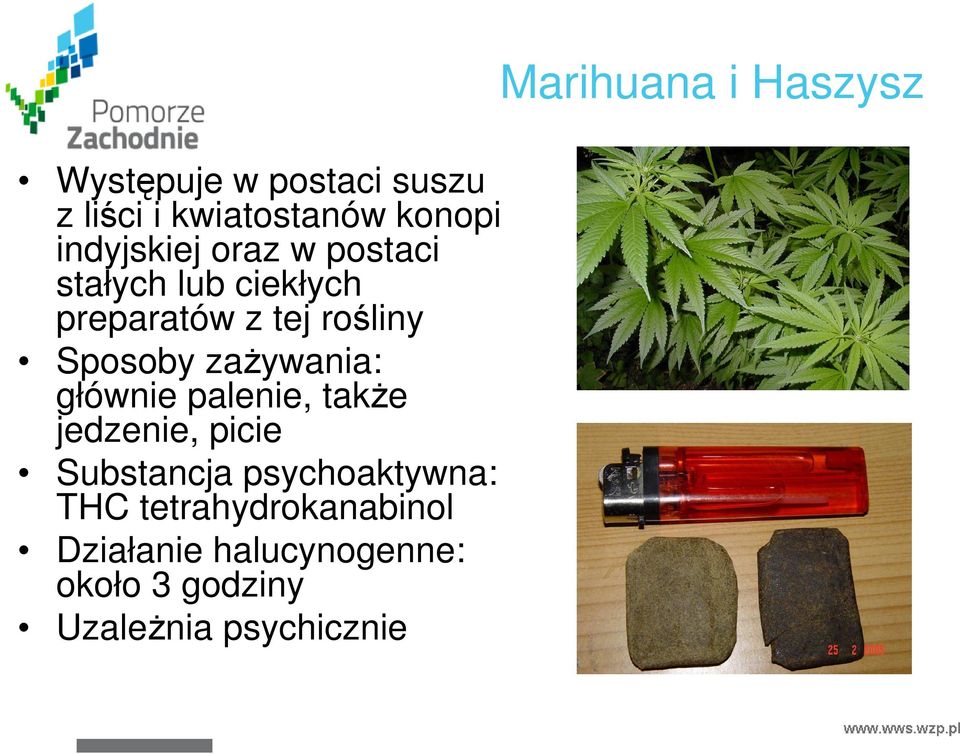 głównie palenie, takŝe jedzenie, picie Substancja psychoaktywna: THC