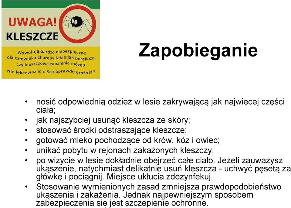 obejrzeć całe ciało. Jeżeli zauważysz ukąszenie, natychmiast delikatnie usuń kleszcza - uchwyć pęsetą za główkę i pociągnij.