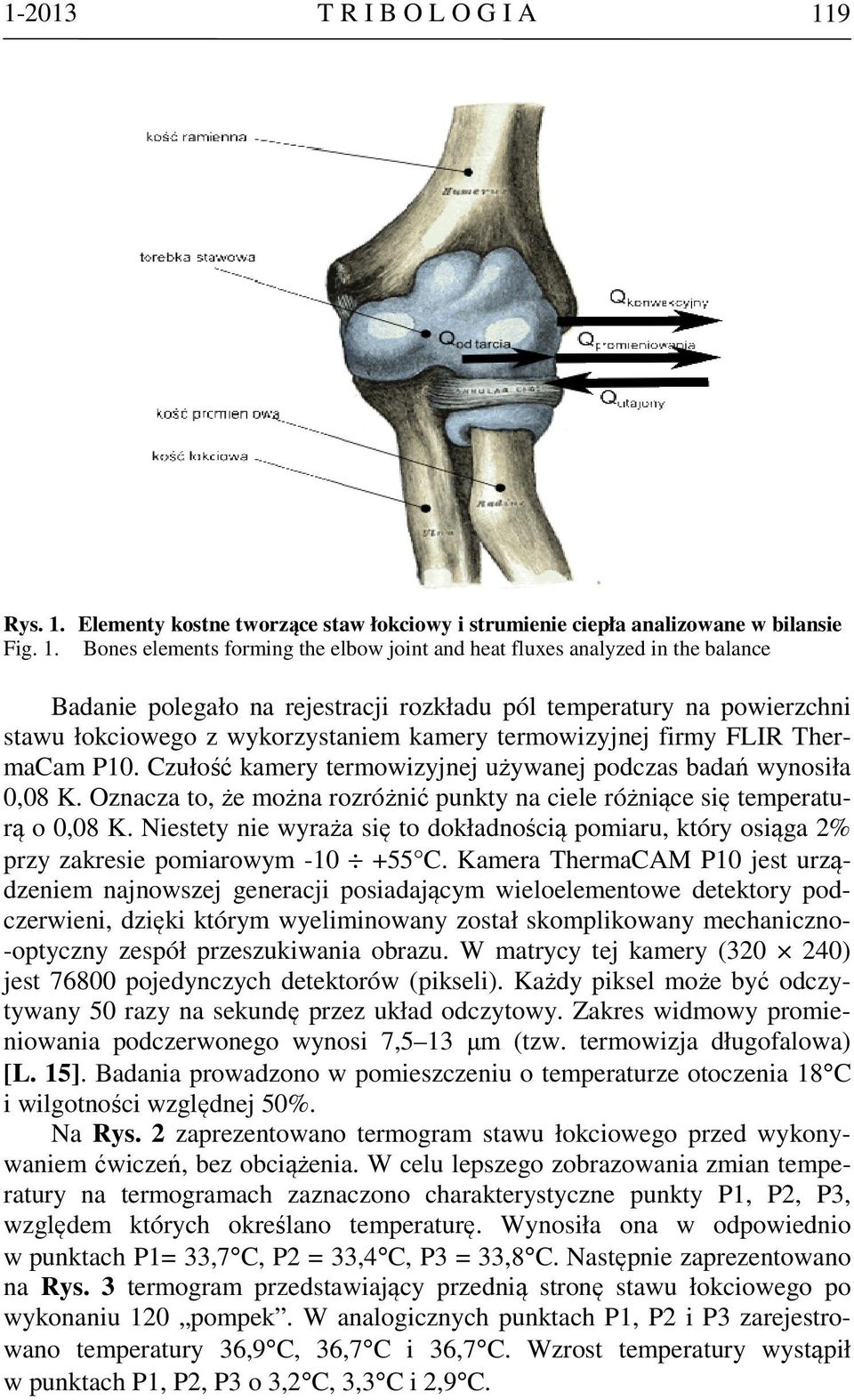 Elementy kostne tworzące staw łokciowy i strumienie ciepła analizowane w bilansie Fig. 1.