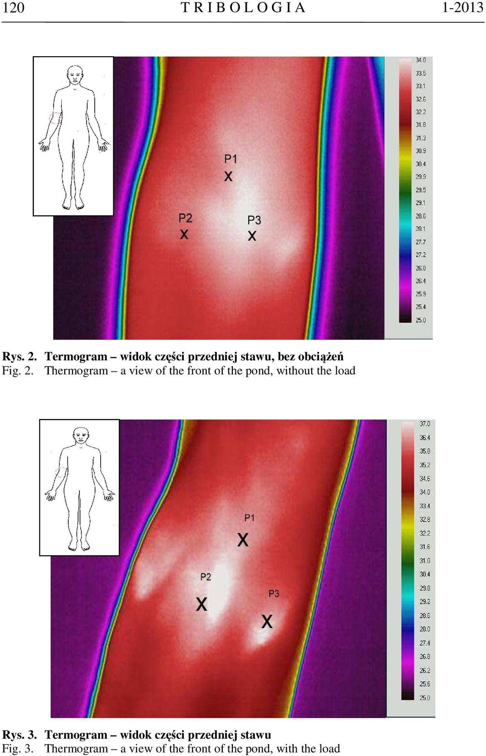 Thermogram a view of the front of the pond, without the load Rys. 3.