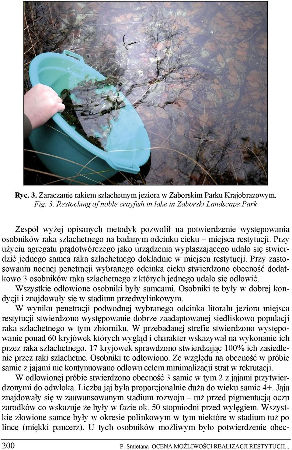 Restocking of noble crayfish in lake in Zaborski Landscape Park Zespół wyżej opisanych metodyk pozwolił na potwierdzenie występowania osobników raka szlachetnego na badanym odcinku cieku miejsca