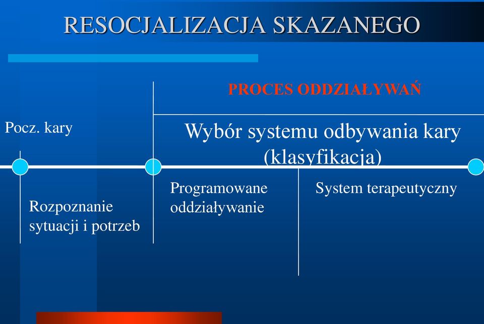 Wybór systemu odbywania kary (klasyfikacja)