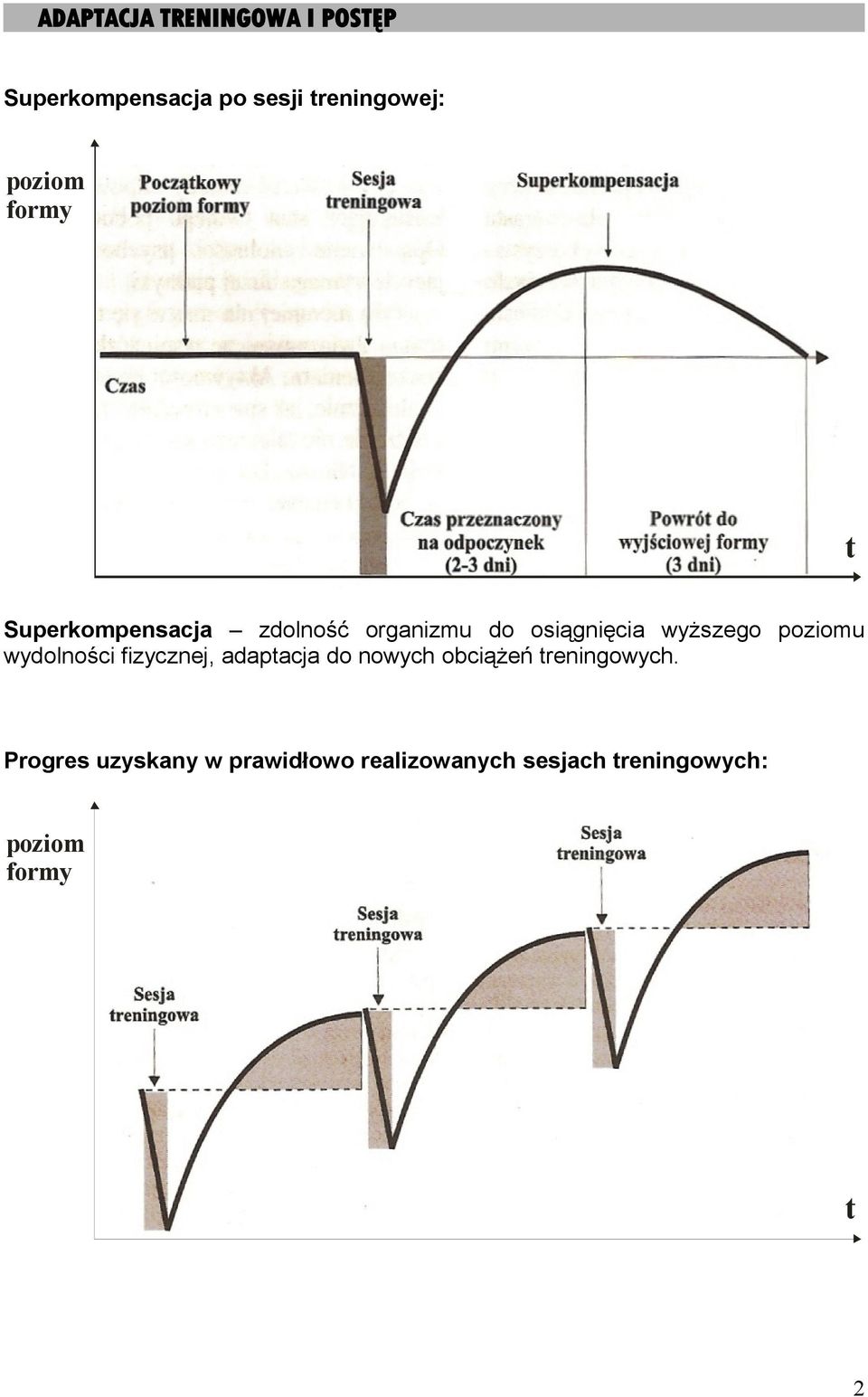poziomu wydolności fizycznej, adaptacja do nowych obciążeń treningowych.