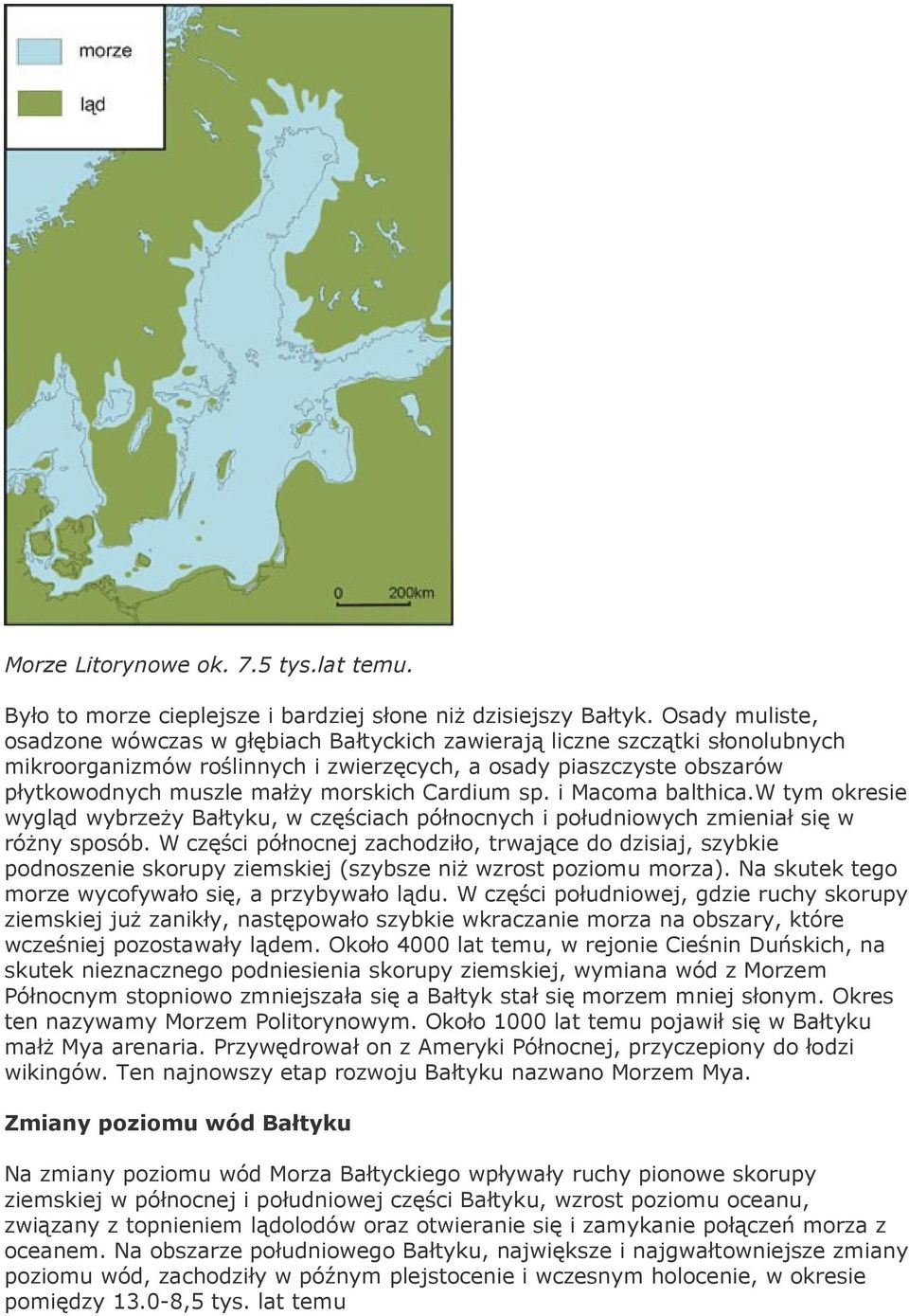 Cardium sp. i Macoma balthica.w tym okresie wygląd wybrzeży Bałtyku, w częściach północnych i południowych zmieniał się w różny sposób.