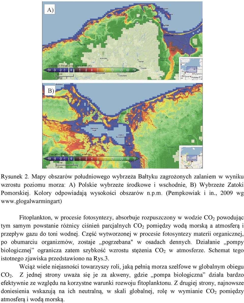 glogalwarmingart) Fitoplankton, w procesie fotosyntezy, absorbuje rozpuszczony w wodzie CO 2 powodując tym samym powstanie różnicy ciśnień parcjalnych CO 2 pomiędzy wodą morską a atmosferą i przepływ