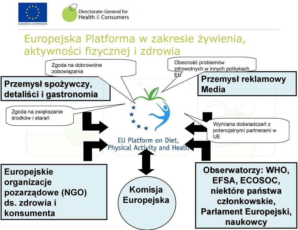 zwiększanie środków i starań Wymiana doświadczeń z potencjalnymi partnerami w UE Europejskie organizacje pozarządowe (NGO)