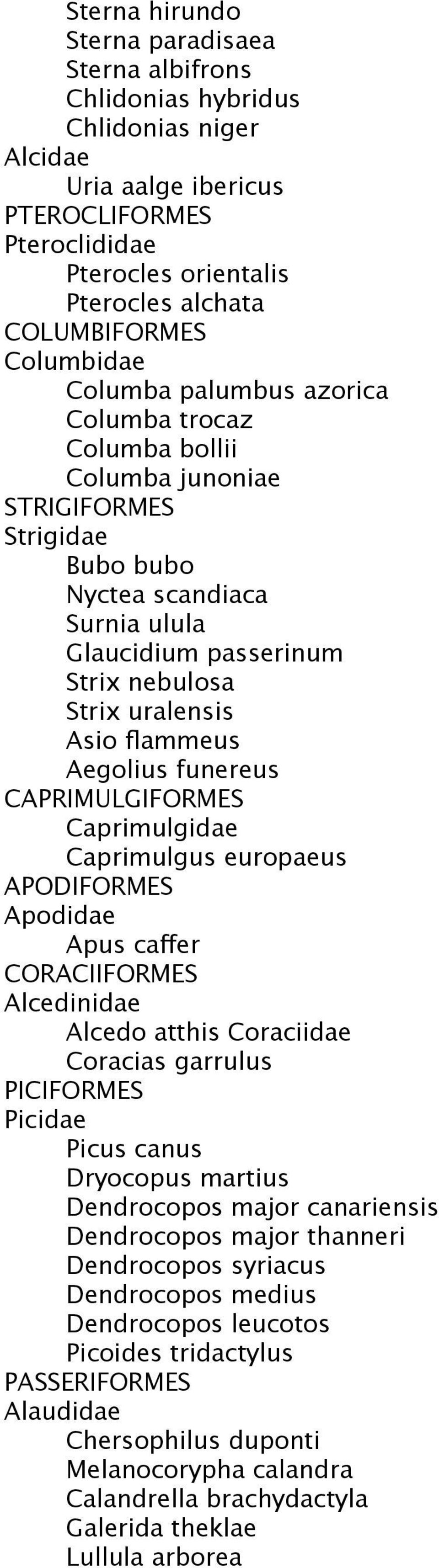 Asio flammeus Aegolius funereus CAPRIMULGIFORMES Caprimulgidae Caprimulgus europaeus APODIFORMES Apodidae Apus caffer CORACIIFORMES Alcedinidae Alcedo atthis Coraciidae Coracias garrulus PICIFORMES