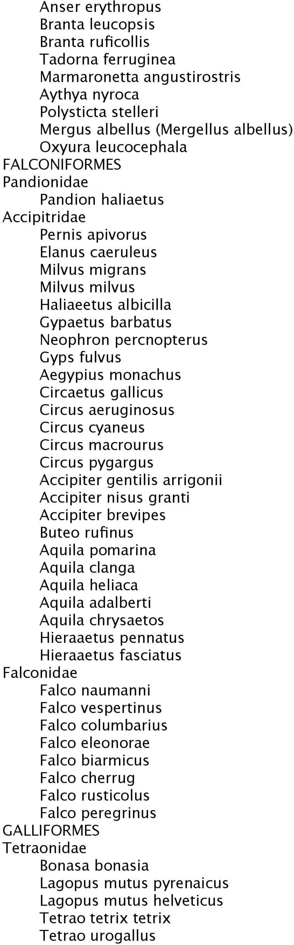 Aegypius monachus Circaetus gallicus Circus aeruginosus Circus cyaneus Circus macrourus Circus pygargus Accipiter gentilis arrigonii Accipiter nisus granti Accipiter brevipes Buteo rufinus Aquila