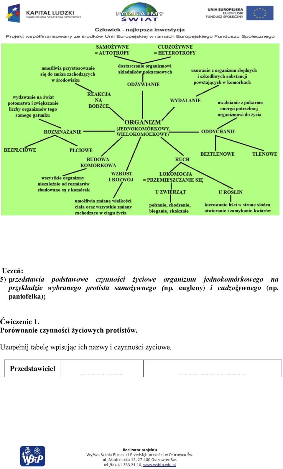 eugleny) i cudzożywnego (np. pantofelka); Ćwiczenie 1.