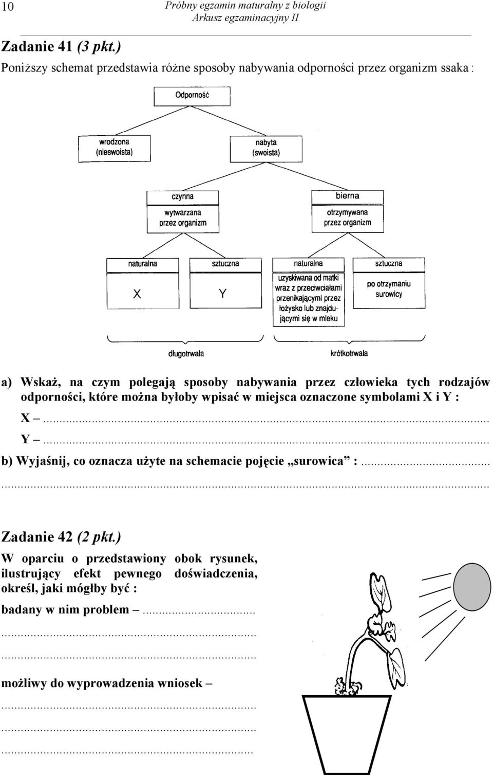 człowieka tych rodzajów odporności, które można byłoby wpisać w miejsca oznaczone symbolami X i Y 