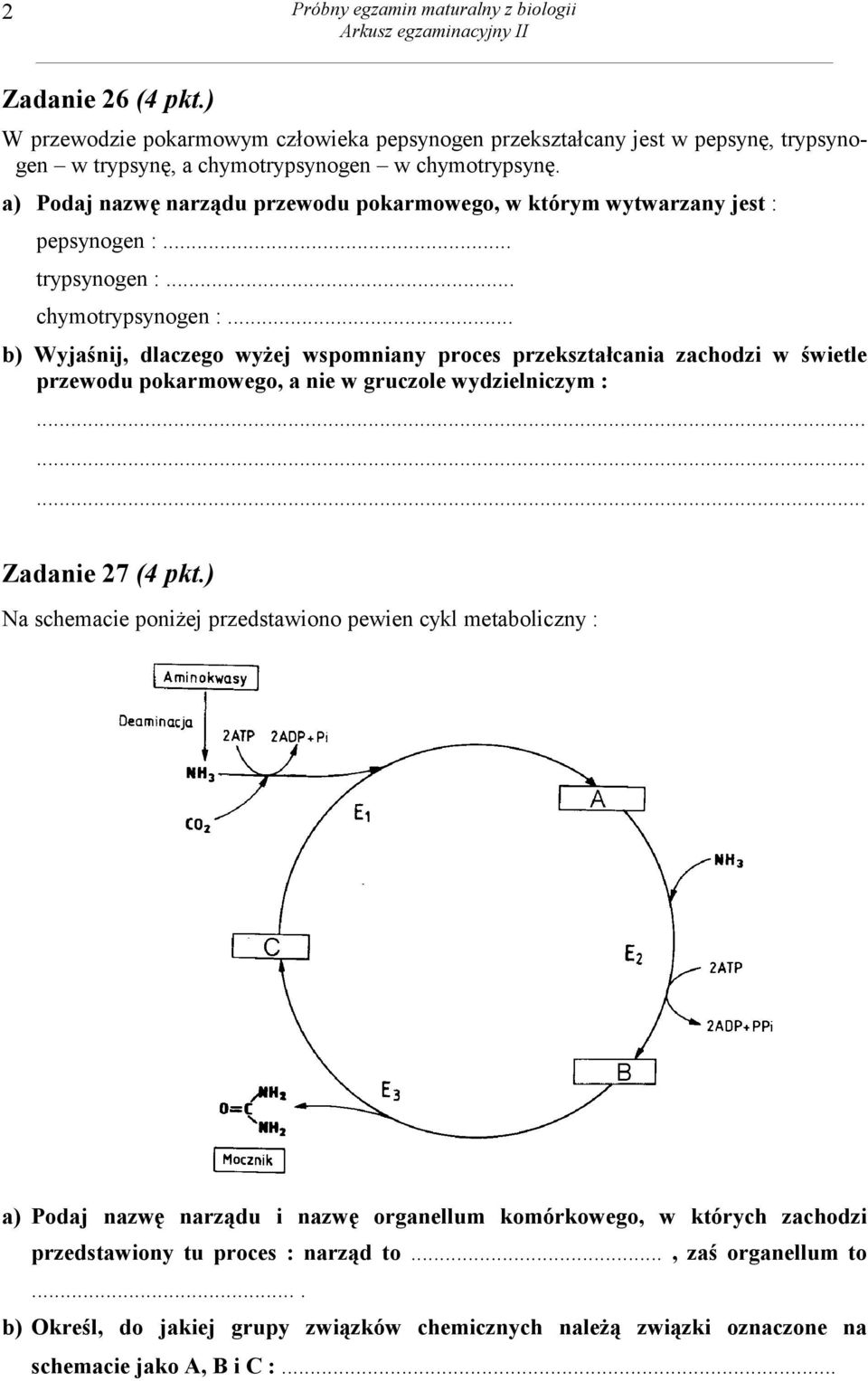 .. b) Wyjaśnij, dlaczego wyżej wspomniany proces przekształcania zachodzi w świetle przewodu pokarmowego, a nie w gruczole wydzielniczym :......... Zadanie 27 (4 pkt.