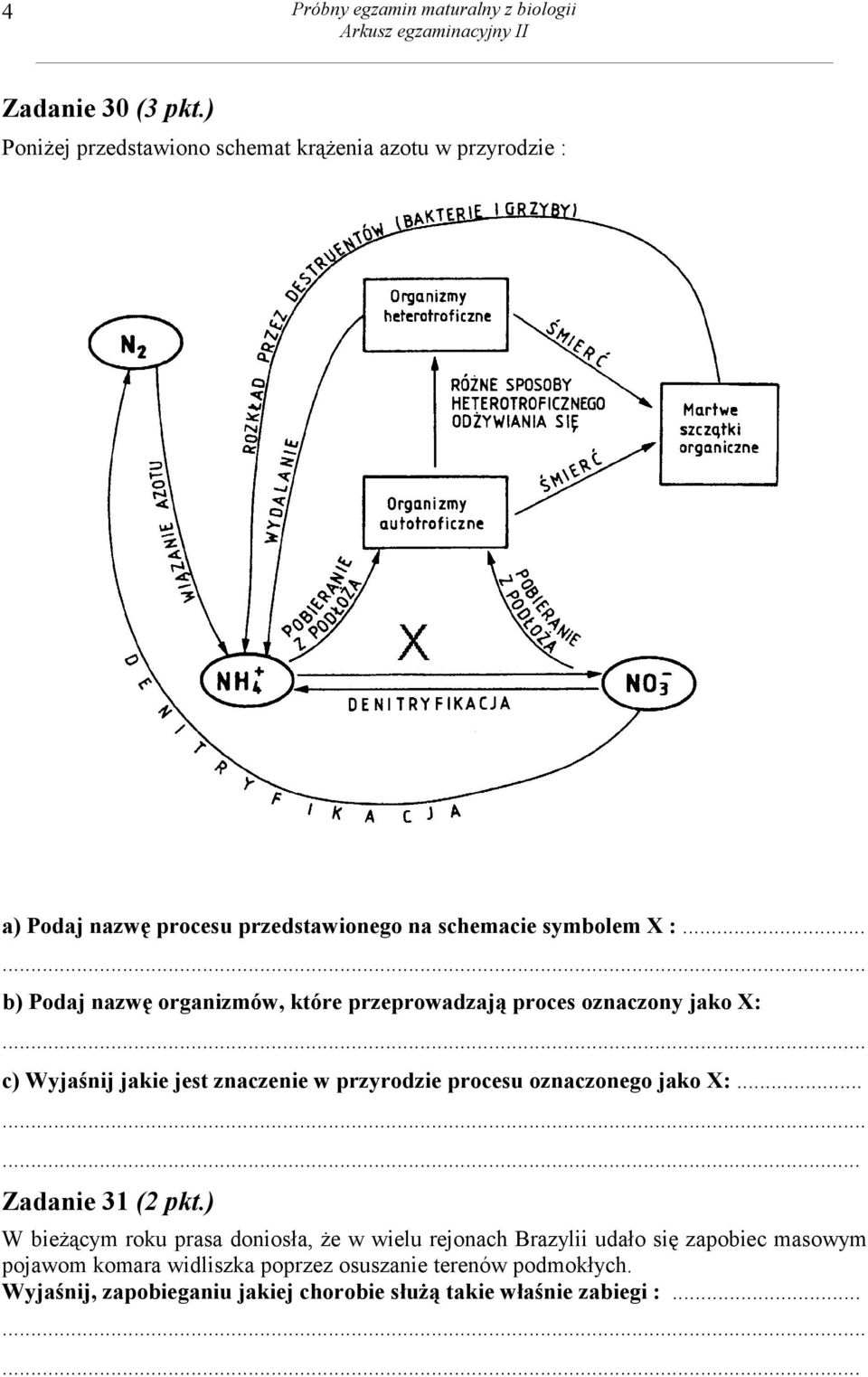 .. b) Podaj nazwę organizmów, które przeprowadzają proces oznaczony jako X: c) Wyjaśnij jakie jest znaczenie w przyrodzie procesu oznaczonego