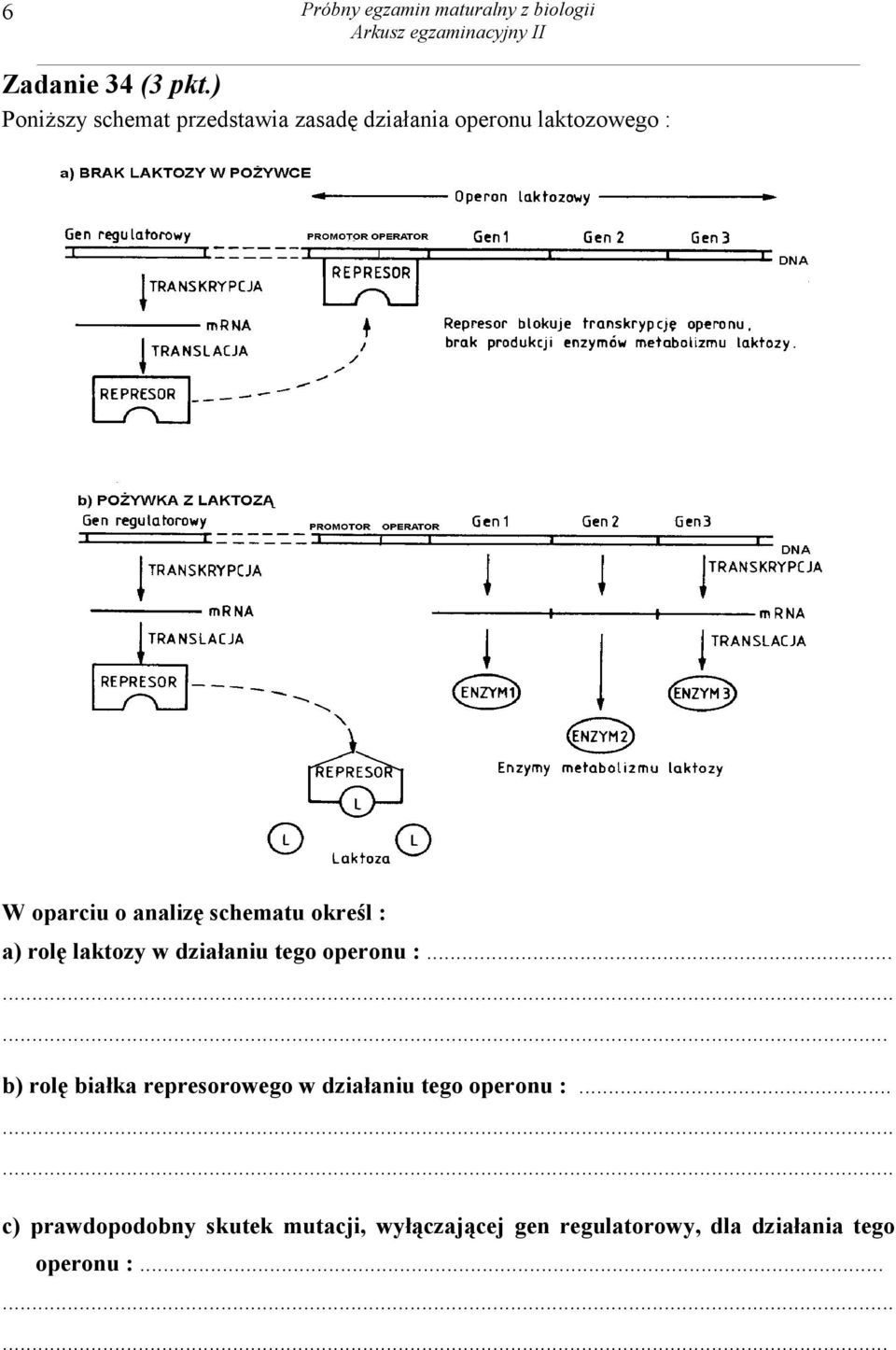 schematu określ : a) rolę laktozy w działaniu tego operonu :.