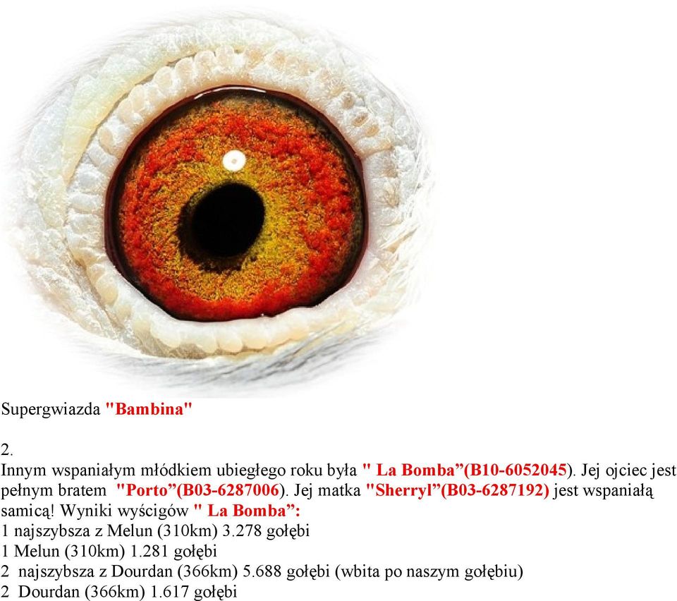 Jej matka "Sherryl (B03-6287192) jest wspaniałą samicą!