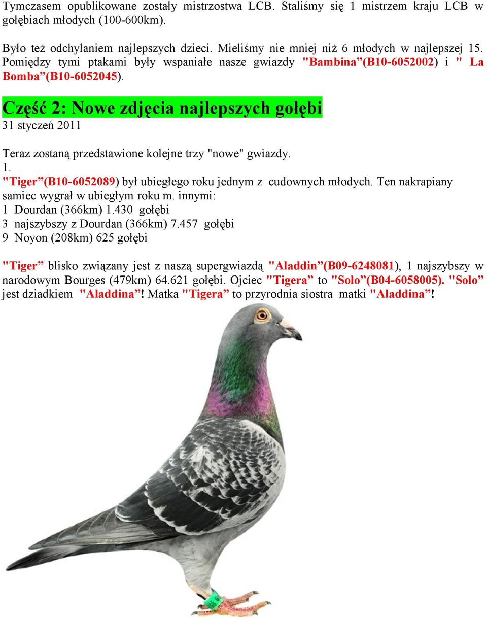 Część 2: Nowe zdjęcia najlepszych gołębi 31 styczeń 2011 Teraz zostaną przedstawione kolejne trzy "nowe" gwiazdy. 1. "Tiger (B10-6052089) był ubiegłego roku jednym z cudownych młodych.