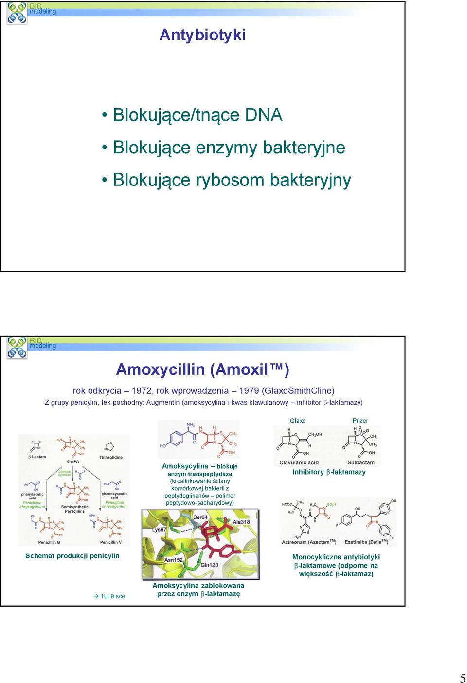 blokuje enzym transpeptydazę (kroslinkowanie ściany komórkowej bakterii z peptydoglikanów polimer peptydowo-sacharydowy) Inhibitory -laktamazy