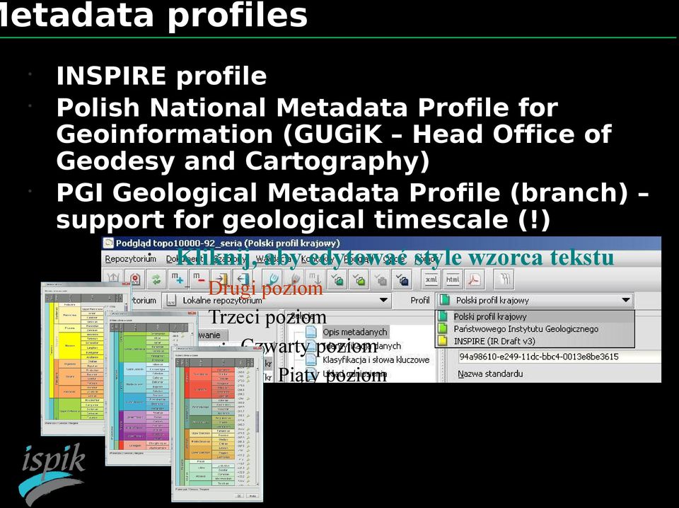 Metadata Profile (branch) support for geological timescale (!