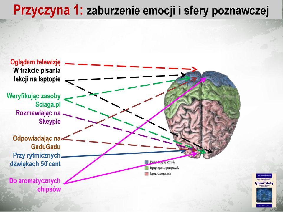 zasoby Sciaga.