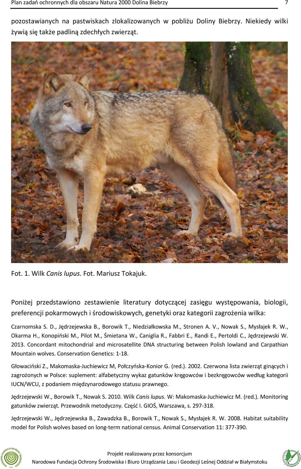 , Jędrzejewska B., Borowik T., Niedziałkowska M., Stronen A. V., Nowak S., Mysłajek R. W., Okarma H., Konopiński M., Pilot M., Śmietana W., Caniglia R., Fabbri E., Randi E., Pertoldi C.