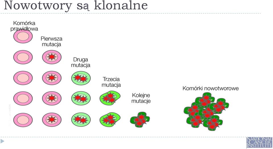 Druga mutacja Trzecia mutacja