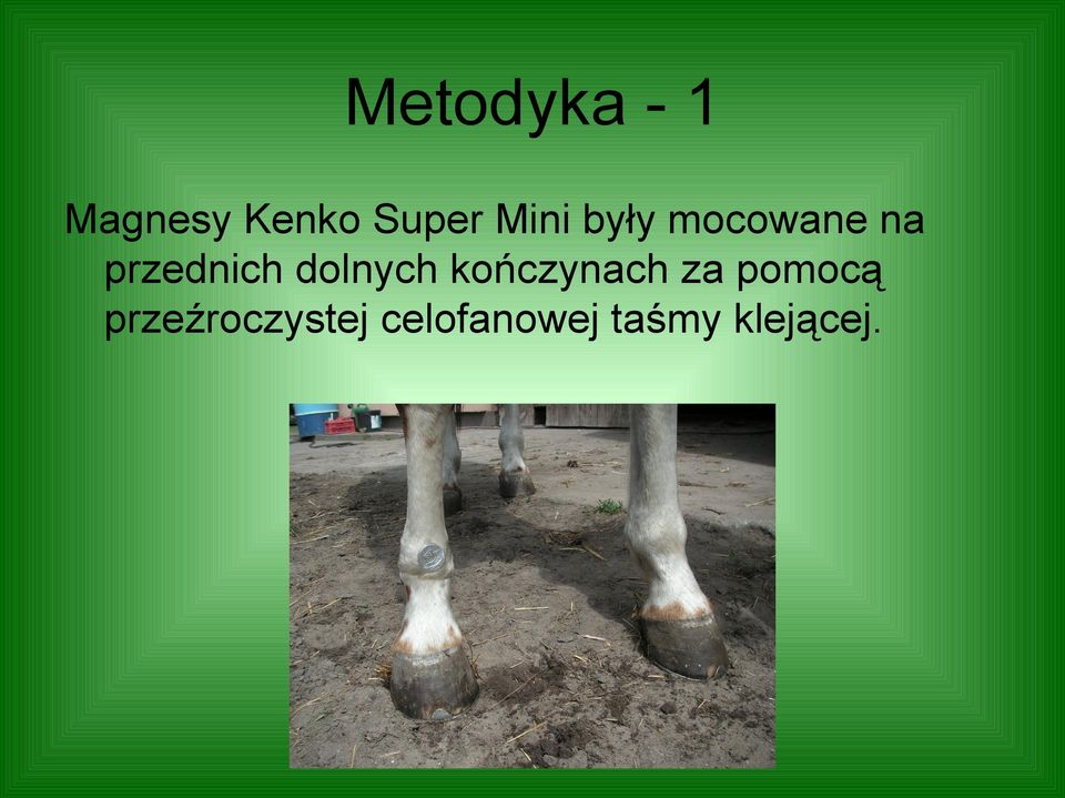 dolnych kończynach za pomocą