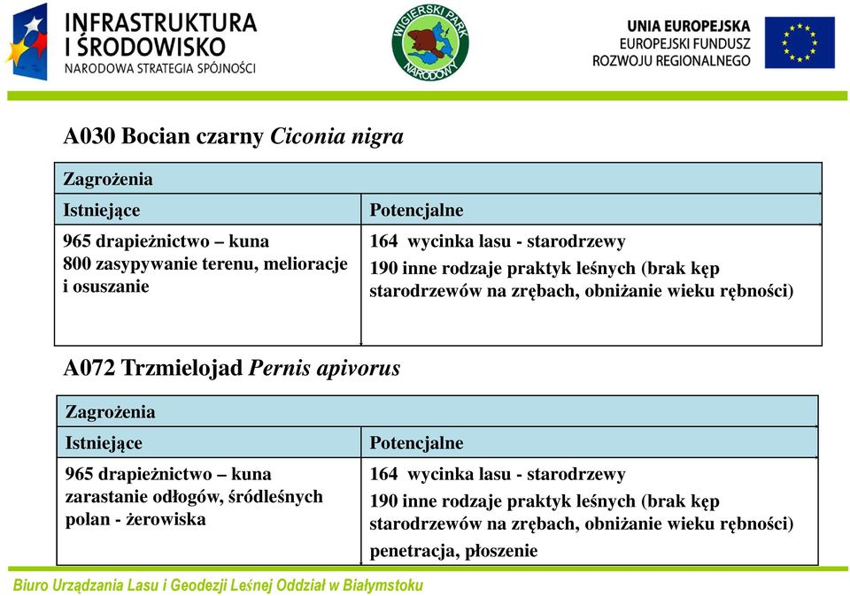 Trzmielojad Pernis apivorus 965 drapieżnictwo kuna zarastanie odłogów, śródleśnych polan -żerowiska 164 wycinka lasu -