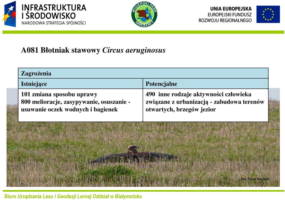 bagienek 490 inne rodzaje aktywności człowieka związane z