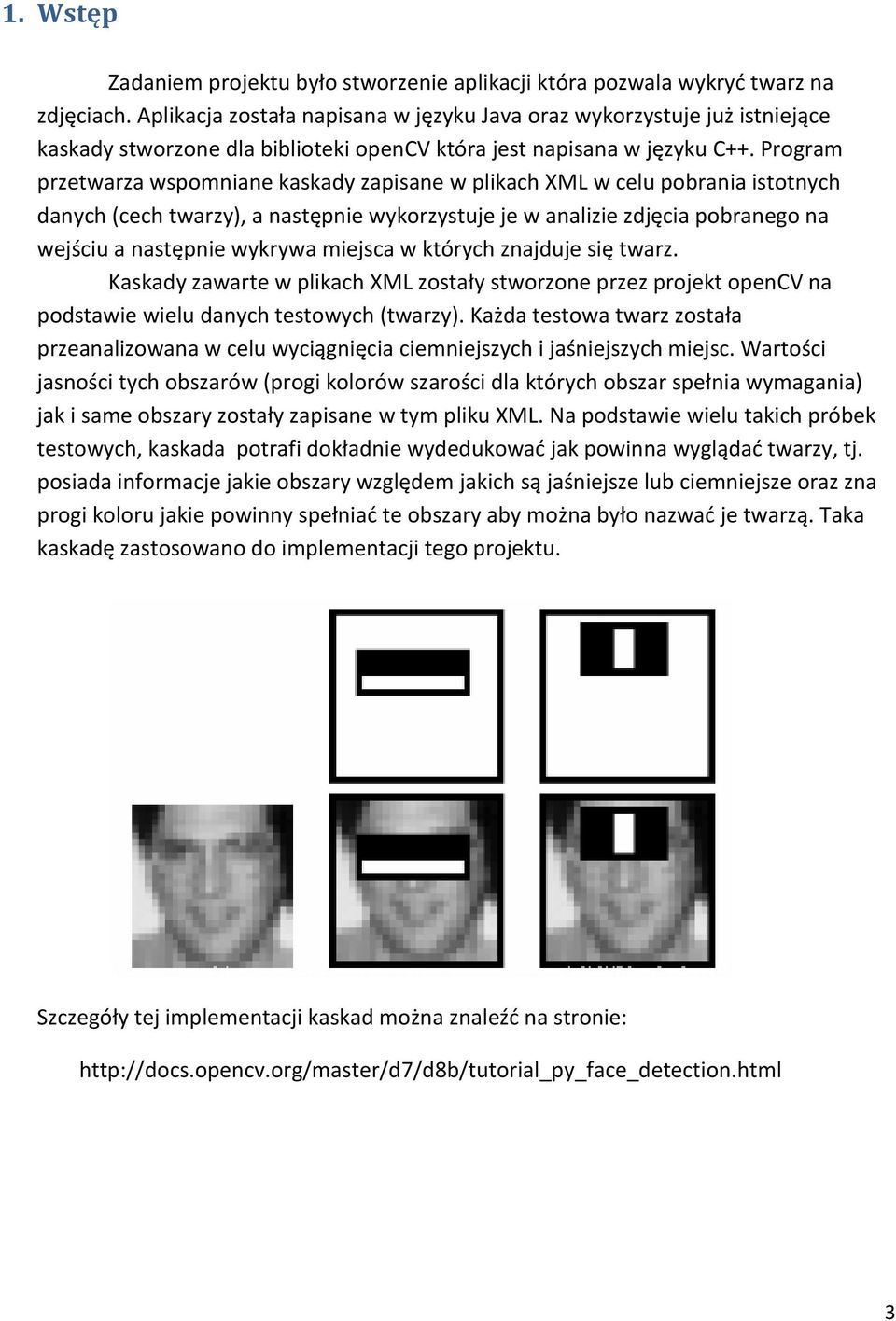 Program przetwarza wspomniane kaskady zapisane w plikach XML w celu pobrania istotnych danych (cech twarzy), a następnie wykorzystuje je w analizie zdjęcia pobranego na wejściu a następnie wykrywa