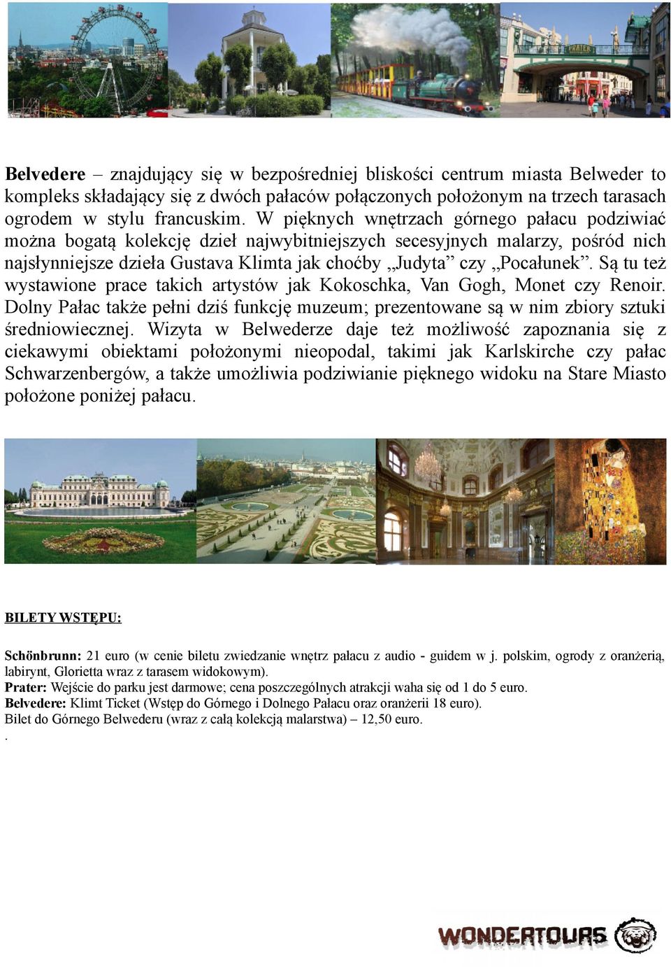 Są tu też wystawione prace takich artystów jak Kokoschka, Van Gogh, Monet czy Renoir. Dolny Pałac także pełni dziś funkcję muzeum; prezentowane są w nim zbiory sztuki średniowiecznej.