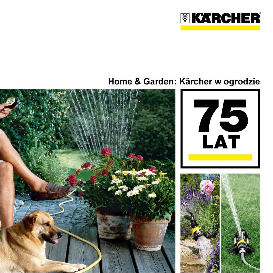 Kärcher w