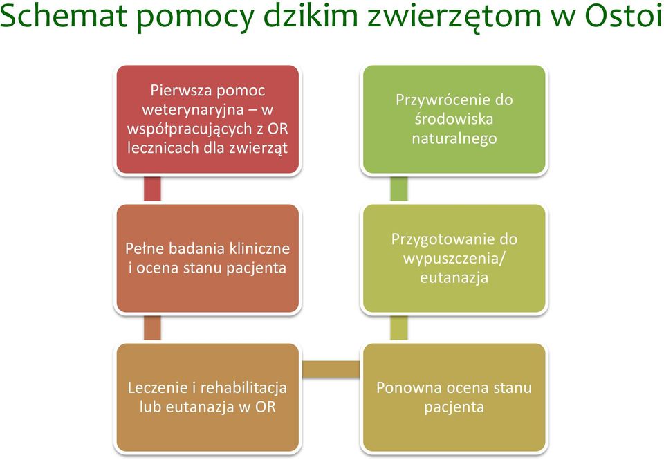 naturalnego Pełne badania kliniczne i ocena stanu pacjenta Przygotowanie do