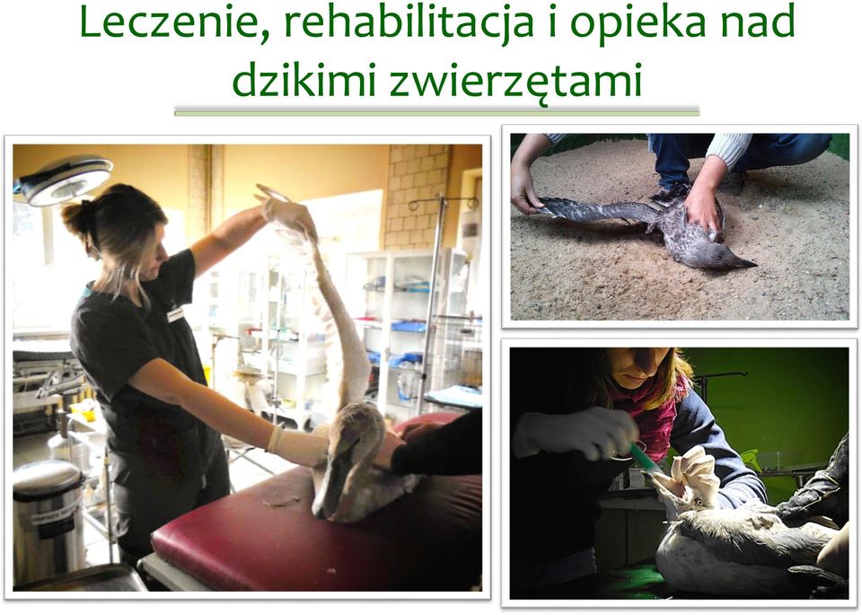 i opieka nad