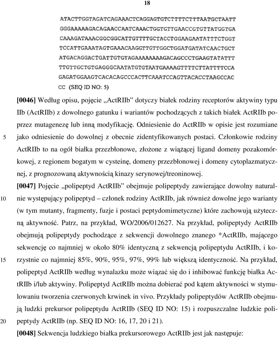 Członkowie rodziny ActRIIb to na ogół białka przezbłonowe, złożone z wiążącej ligand domeny pozakomórkowej, z regionem bogatym w cysteinę, domeny przezbłonowej i domeny cytoplazmatycznej, z