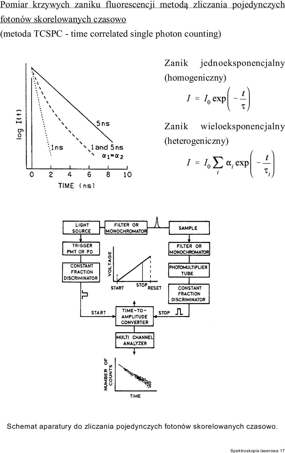 (homogeniczny) jednoeksponencjalny Zanik (heterogeniczny) wieloeksponencjalny