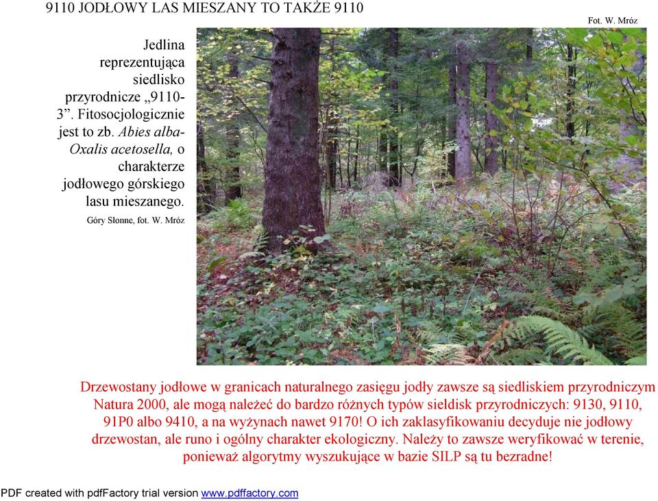 Mróz Drzewostany jodłowe w granicach naturalnego zasięgu jodły zawsze są siedliskiem przyrodniczym Natura 2000, ale mogą należeć do bardzo różnych typów sieldisk