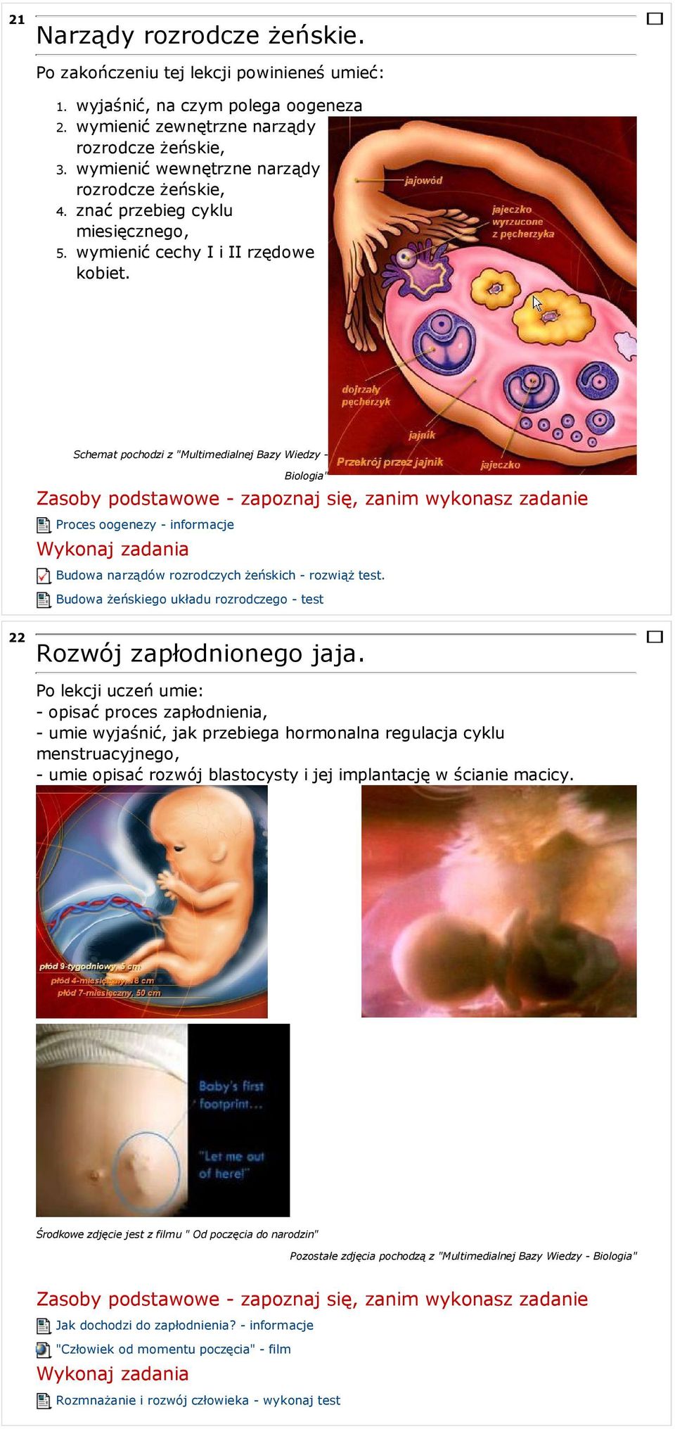 Schemat pochodzi z "Multimedialnej Bazy Wiedzy - Biologia" Proces oogenezy - informacje Budowa narządów rozrodczych żeńskich - rozwiąż test.