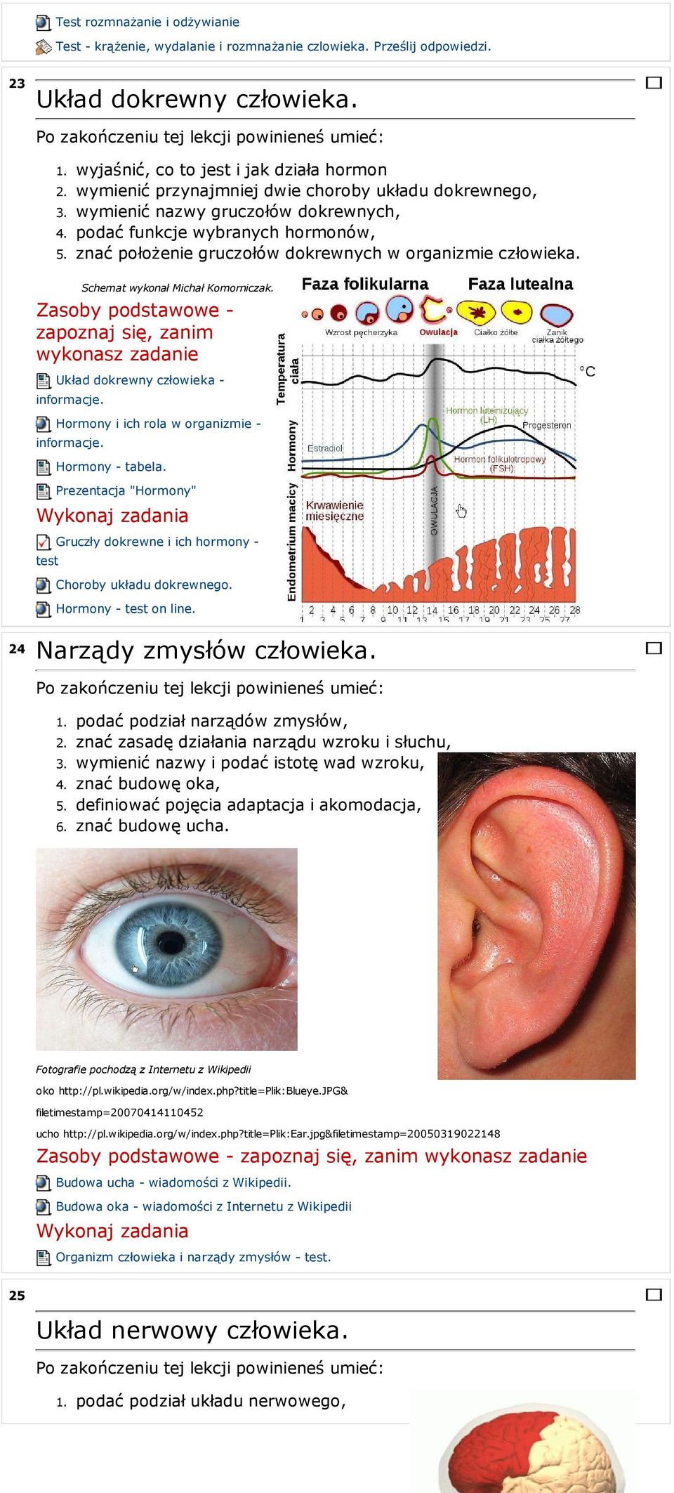 dokrewnych w organizmie człowieka. Schemat wykonał Michał Komorniczak. Zasoby podstawowe - zapoznaj się, zanim wykonasz zadanie Układ dokrewny człowieka - informacje.