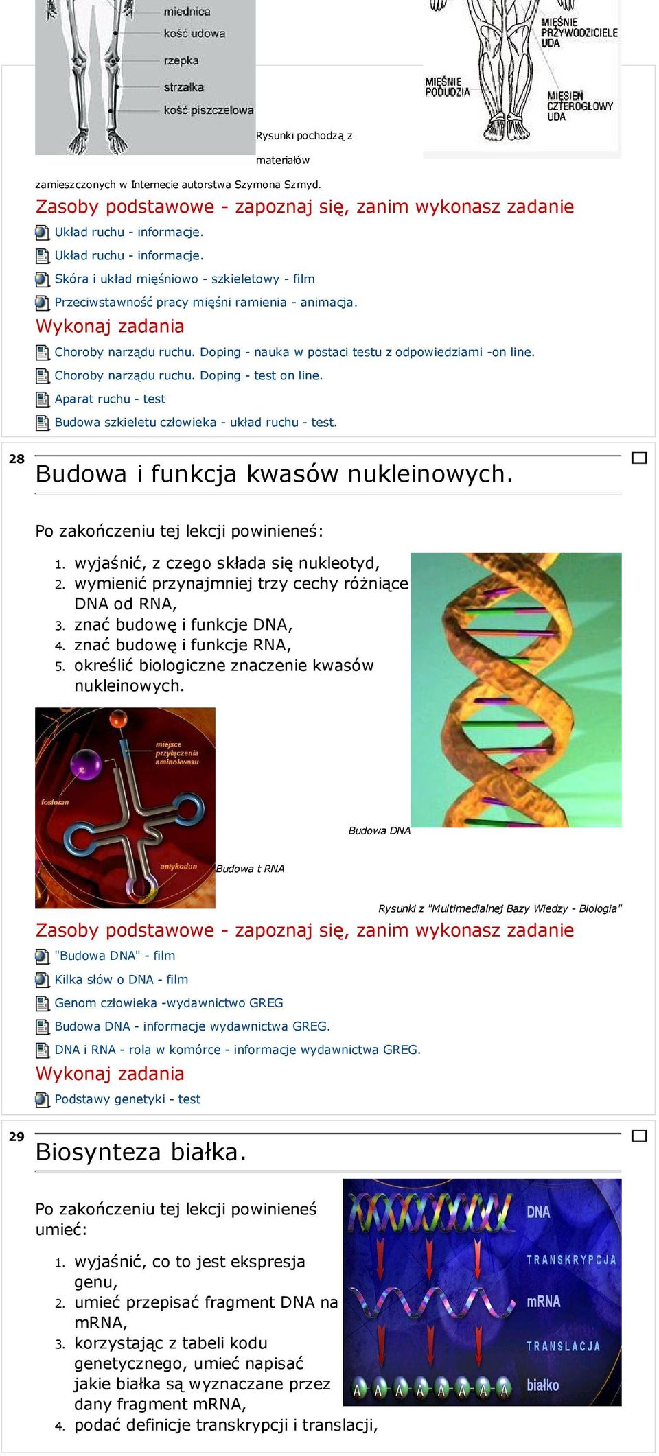 Choroby narządu ruchu. Doping - test on line. Aparat ruchu - test Budowa szkieletu człowieka - układ ruchu - test. 28 Budowa i funkcja kwasów nukleinowych.