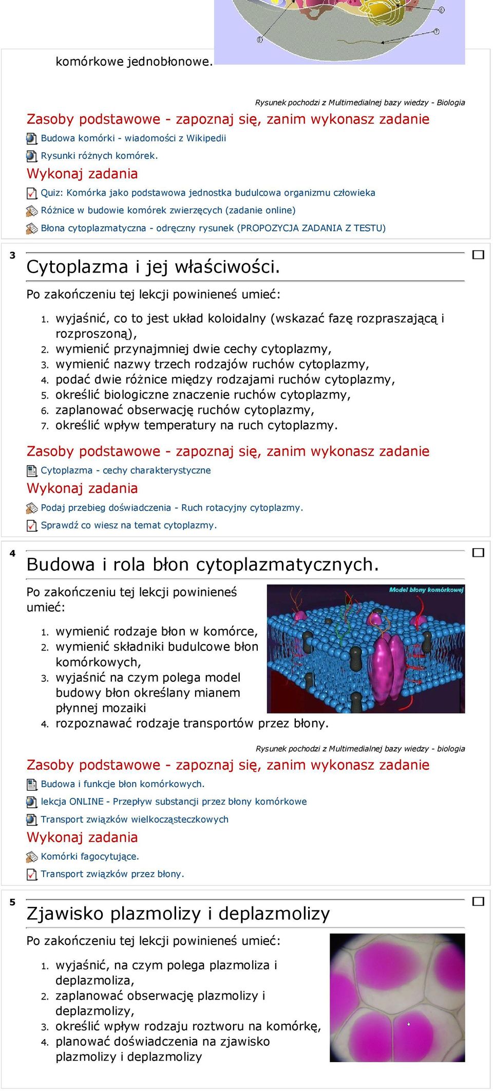 Cytoplazma i jej właściwości. 6. 7.